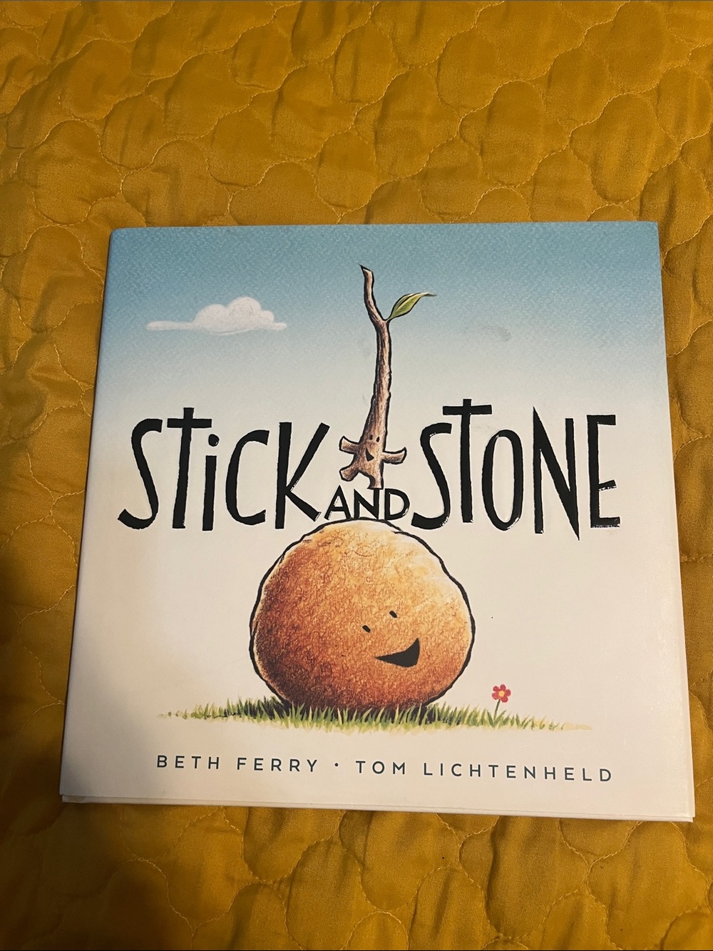 Stick and Stone Book By Beth Ferry